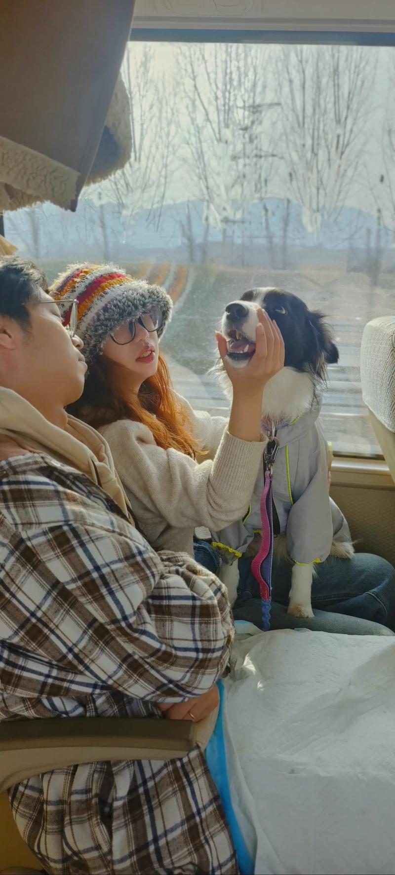 石家庄可以带着小狗玩的景区