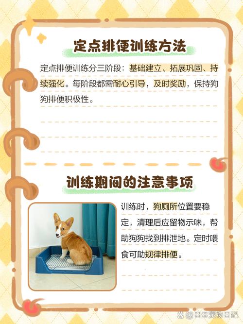 狗拉屎怎么训练