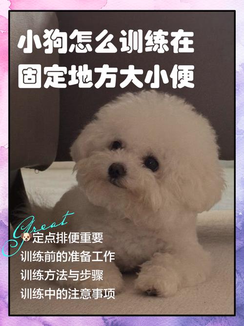 如何训练狗去厕所拉屎