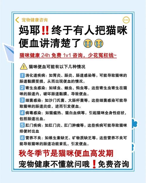 猫咪便血拉稀是怎么回事