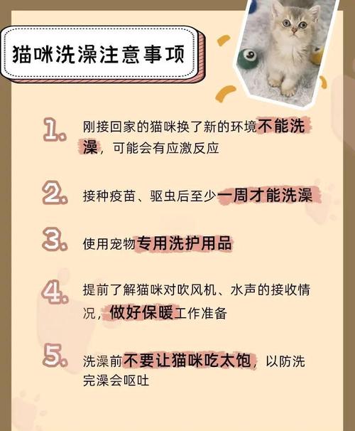 猫咪打疫苗前可以洗澡吗