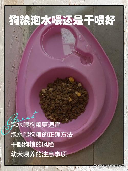 幼犬几个月不用泡狗粮