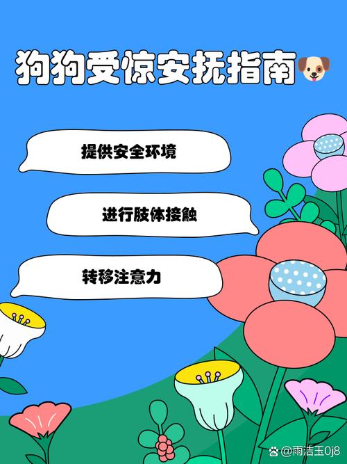 一打雷狗狗就害怕的发抖,我该怎样安抚她呢?