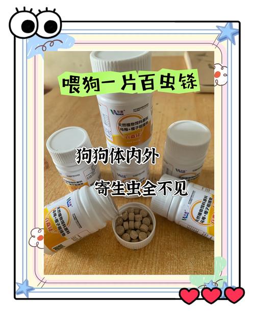 狗狗怀孕可以驱虫吗