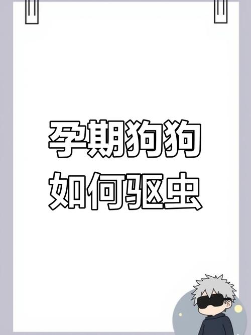 怀孕狗狗怎么驱虫