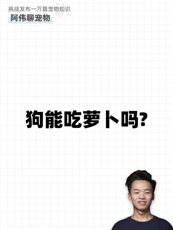 狗狗能吃青萝卜吗