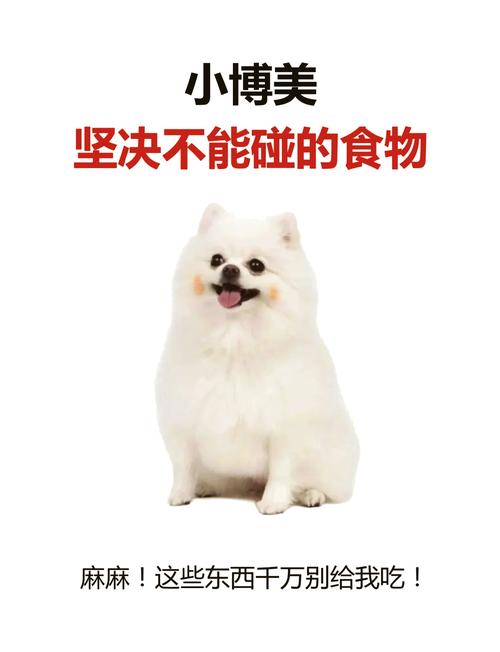 狗能吃萝卜吗青萝卜