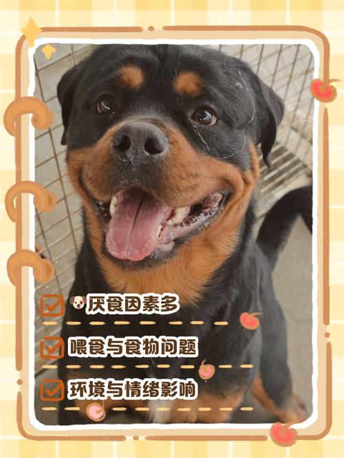 狗狗能吃青萝卜吗生的