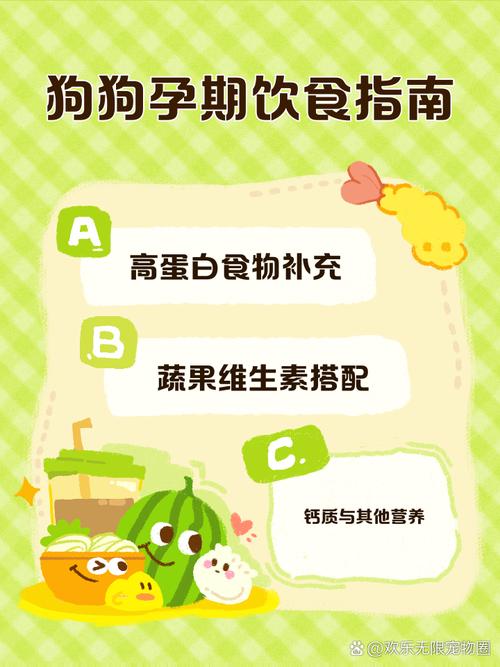 怀孕的狗狗吃什么好