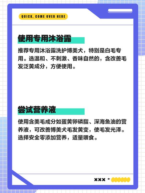 白毛狗洗白偏方