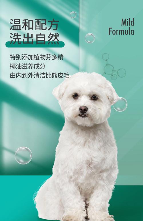 白色狗狗用什么能洗白