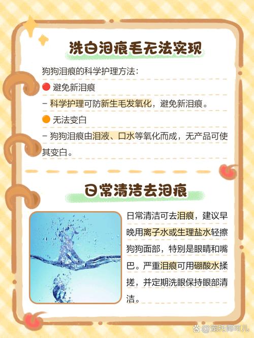 白毛狗狗发黄洗白妙招
