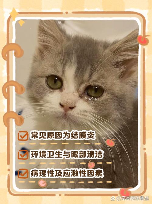 猫咪突然流眼泪眼睛睁不开怎么回事