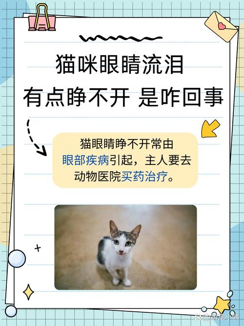 猫眼睛睁不开流眼泪怎么回事