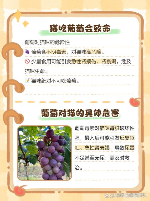 猫咪为什么不能吃葡萄