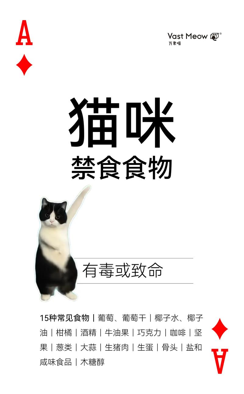 猫咪不能吃的水果有哪些?