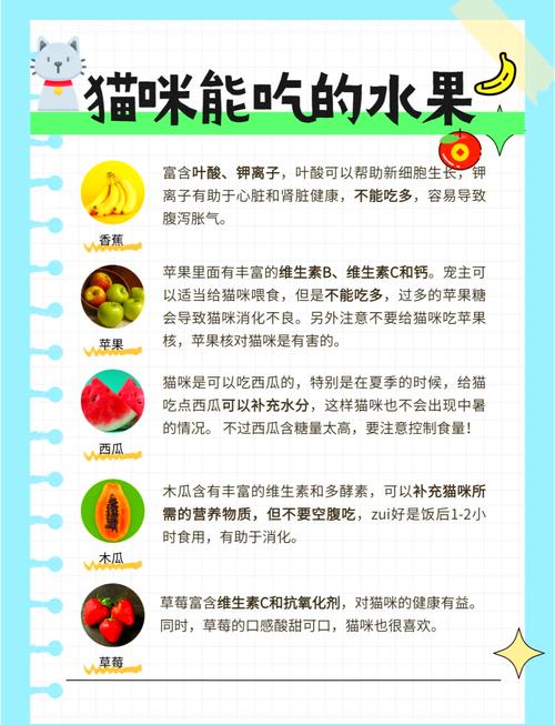 小猫咪为什么不能吃葡萄?