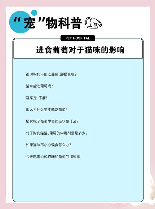 猫可以吃葡萄和提子吗