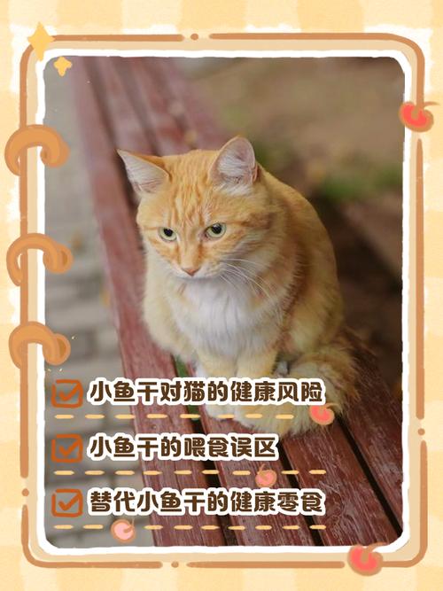 猫咪不吃小鱼干