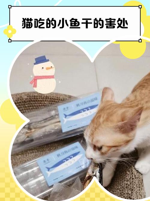猫咪为什么会不吃小鱼干