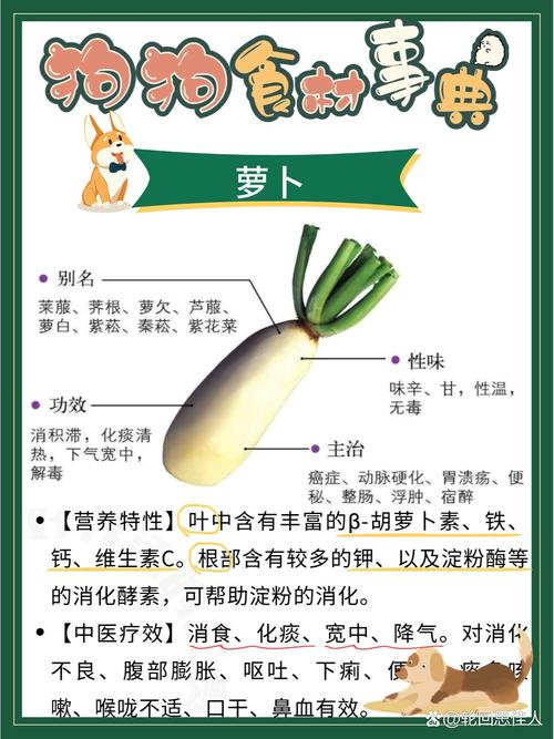 狗狗能不能吃白萝卜?