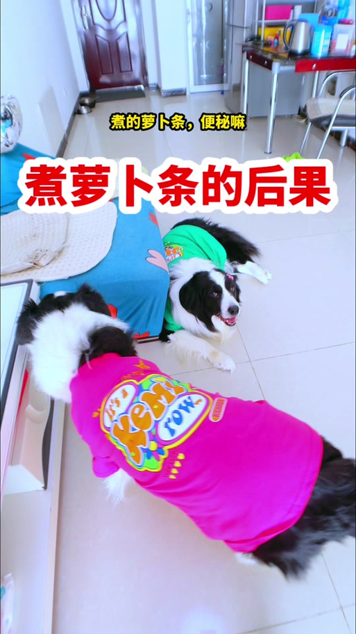 狗吃白萝卜有什么影响