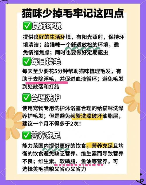 猫咪不爱吃化毛膏怎么办