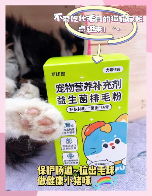 猫不吃化毛膏和猫草怎么办