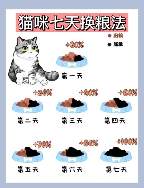 猫换猫粮多久能适应