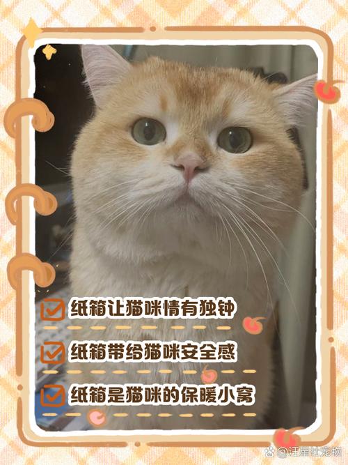 猫把塑料纸吃了没事吧