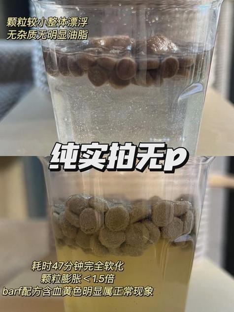 猫咪吃了塑料包装纸怎么办?