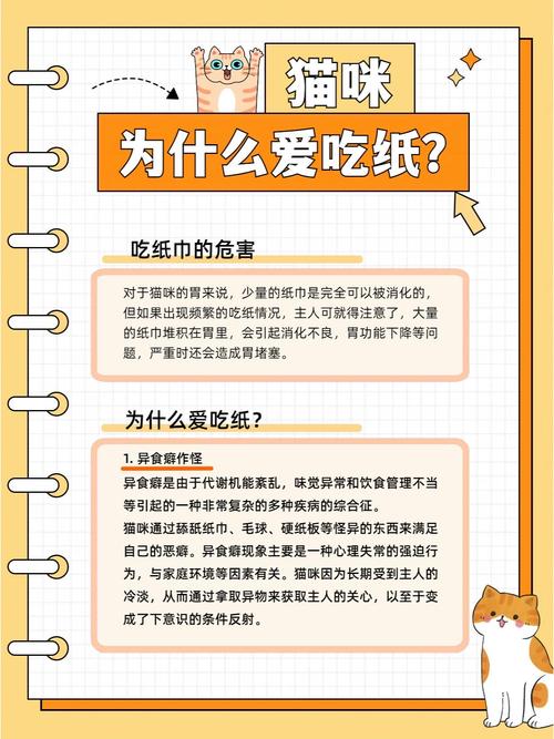 猫吃纸巾怎么回事