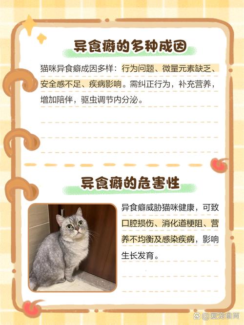 猫吃了塑料包装纸的应急处理方法