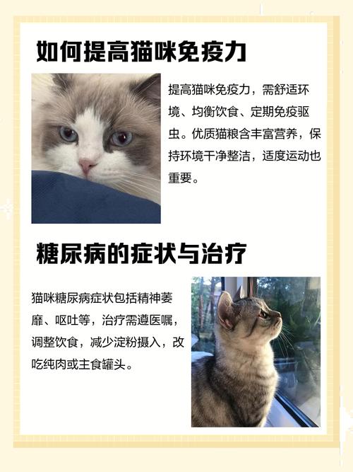 猫咪突然不活泼了无精打采