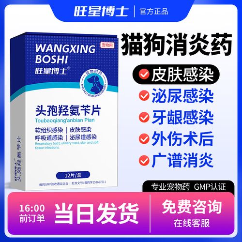 狗狗口腔溃疡的消炎药