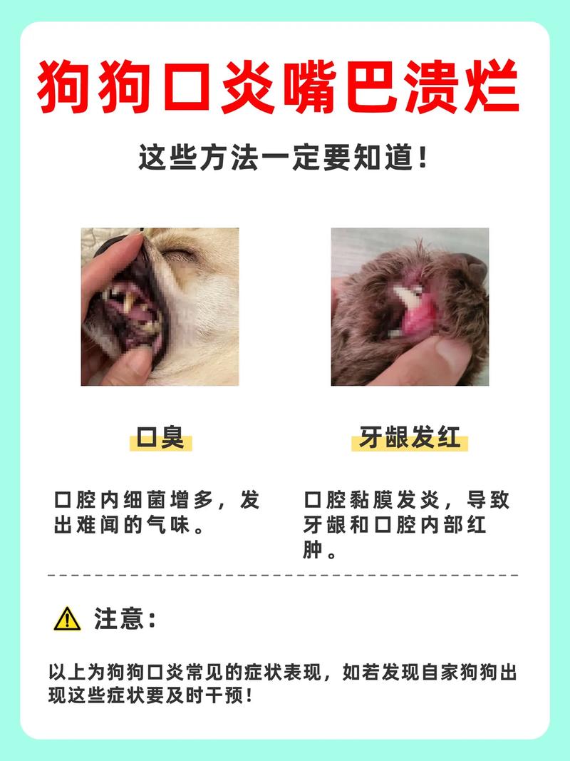 狗狗口腔溃疡怎么办,用什么药好?
