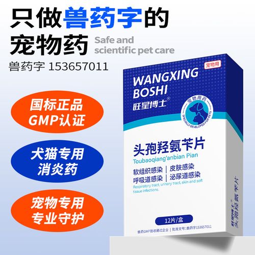 狗口腔溃疡最简单的治疗方法是什么