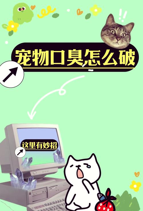 泰迪去口臭最快的方法