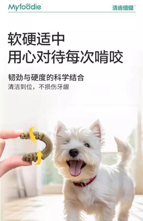 两个多月狗狗,可以吃磨牙棒吗?