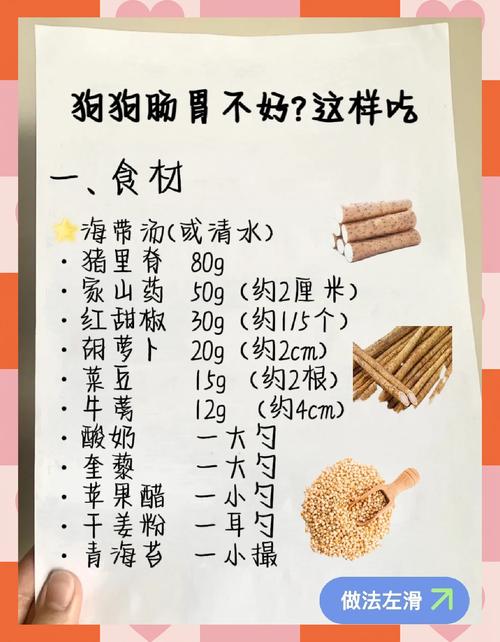 狗得了细小吃什么东西调养