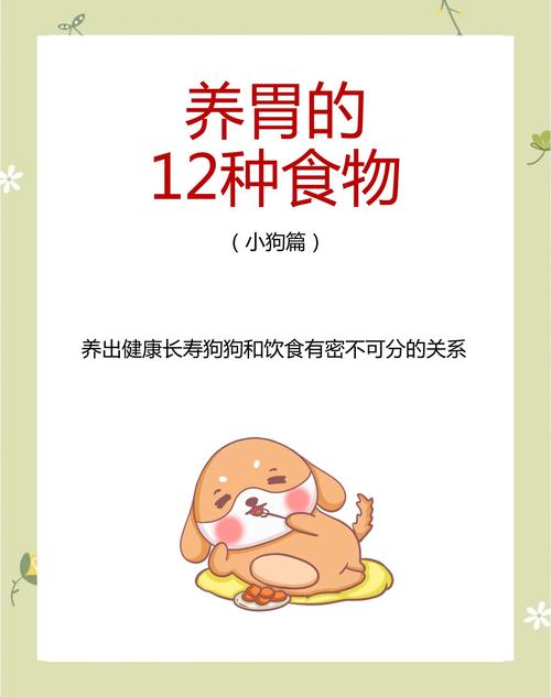 狗呕吐后吃什么养胃