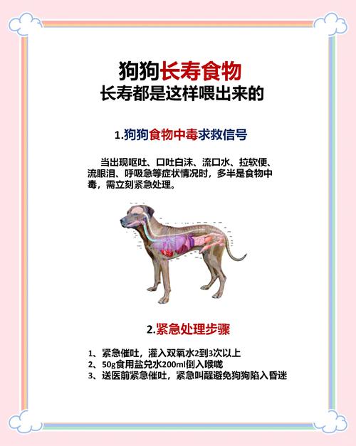 犬心保好不好用?狗狗最近腹泻,去医院看后说是有寄生虫,给狗狗用了