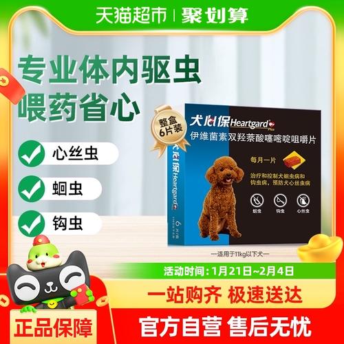 四个月的狗狗吃了牛蛙骨头回家拉血没有吐精神还可以狗狗会不会有...