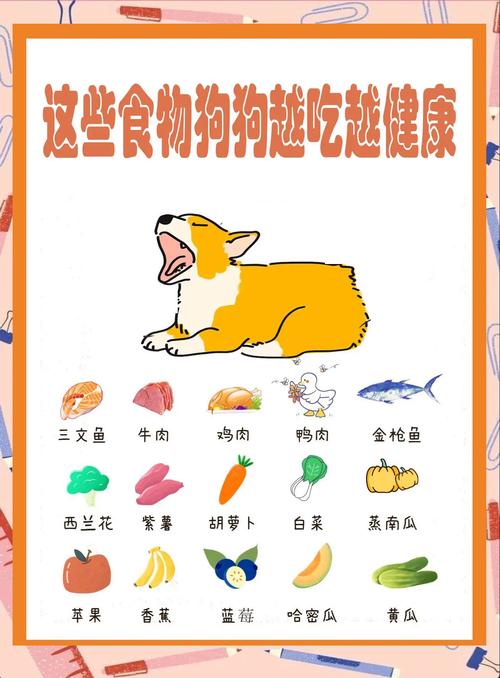 养了一只巴哥狗狗,新手应该怎么抱才是正确的?