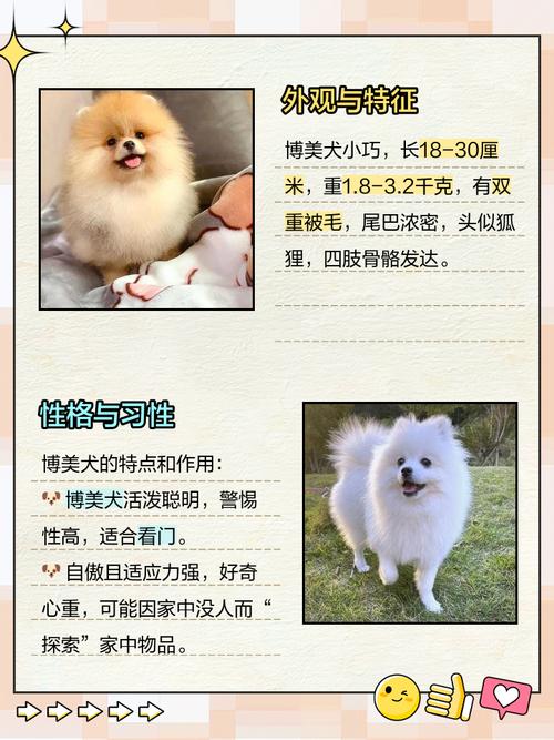 狗狗可以吃奶糖么