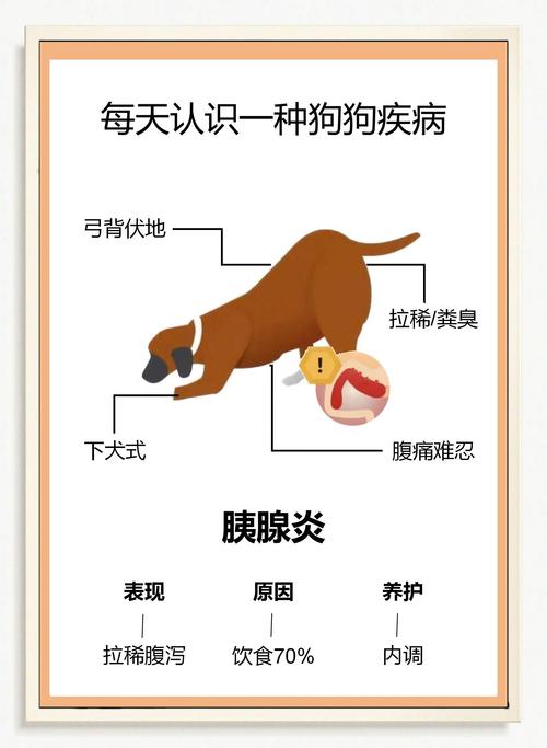 狗狗得胰腺炎的原因