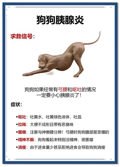 狗胰腺炎是怎么得的