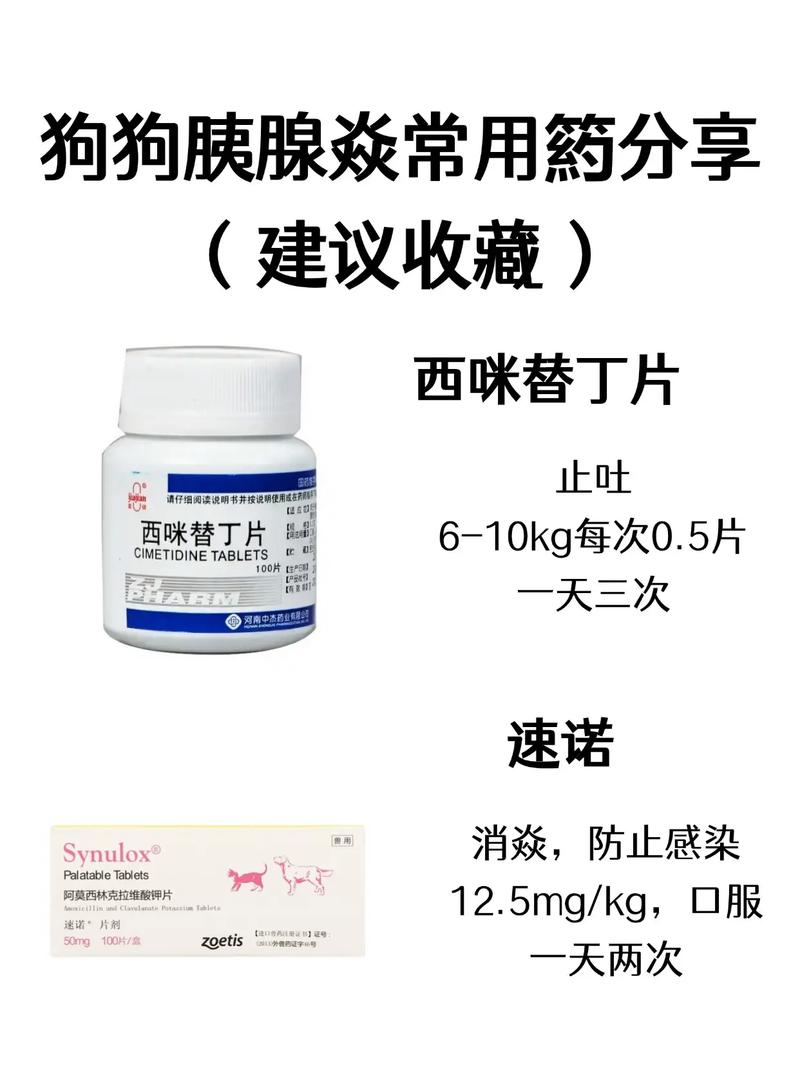 狗狗胰腺炎的原因症状和治疗方法