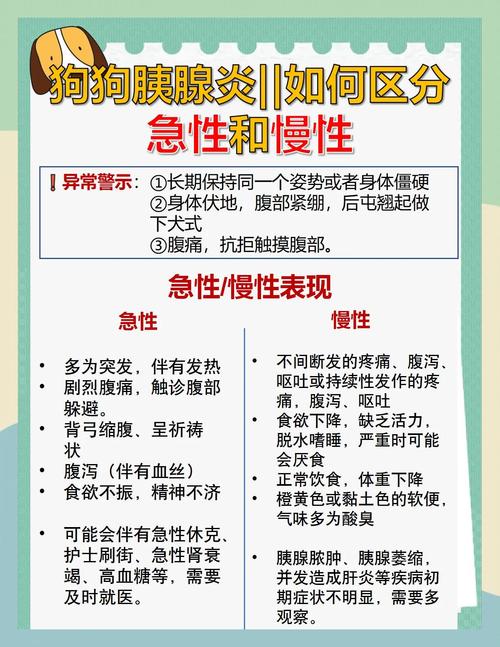 狗狗得了胰腺炎有什么症状