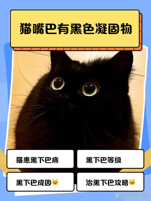 猫咪嘴角出现黑色结痂的原因及处理方法